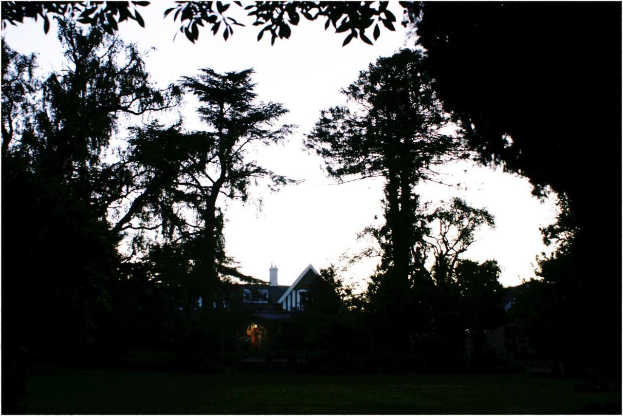 Shady Pines Guest House Harrismith Kültér fotó