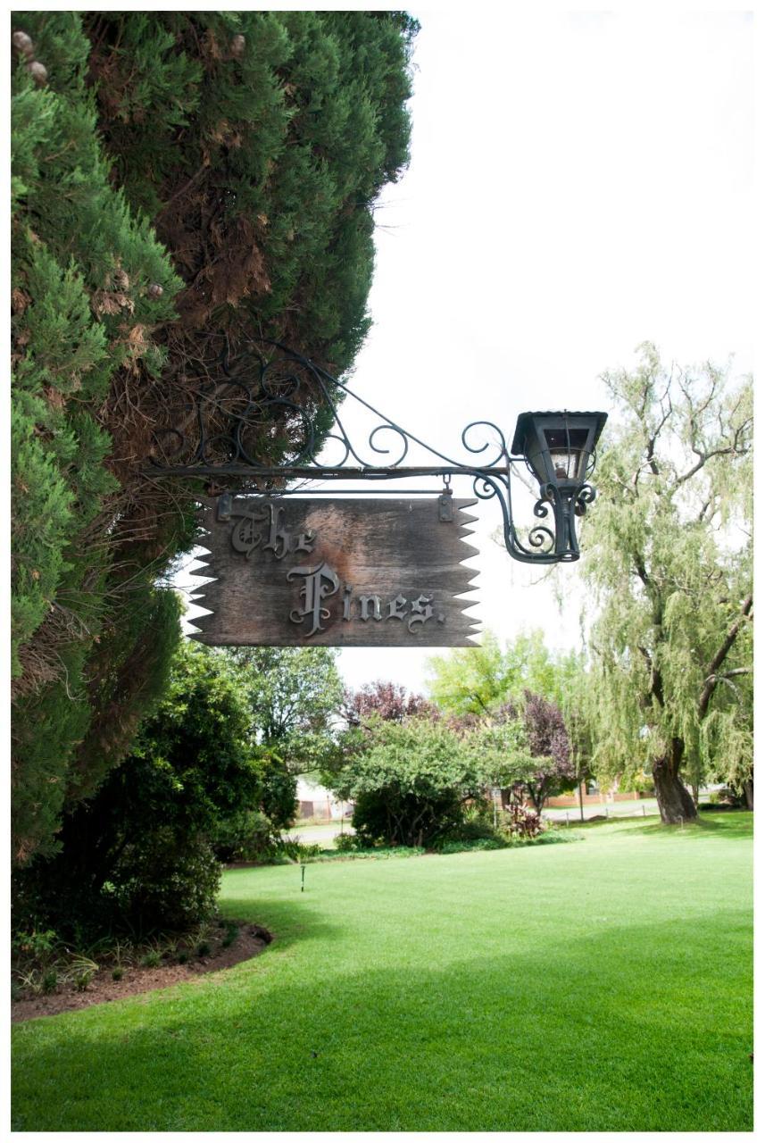 Shady Pines Guest House Harrismith Kültér fotó